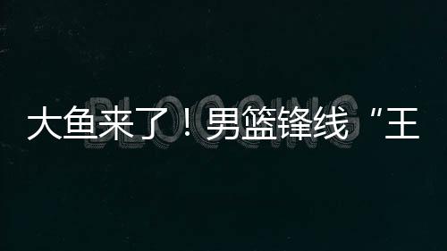 胡明轩与赵睿的组合