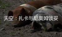 天空：扎卡与尼奥姆谈妥1000万欧年薪，费内巴切仍在劝说球员加盟