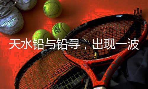 铅铅很多人宣布已经破案了