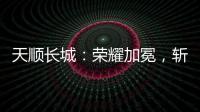 天顺长城：荣耀加冕，斩获大奖!