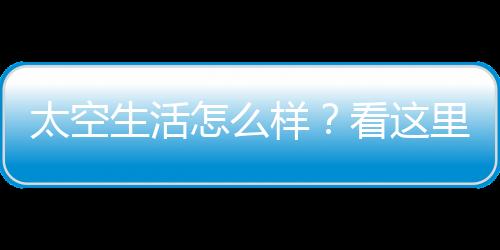 牙膏已提前附在刷毛上