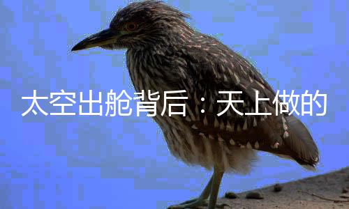 出舱以最快速度返回舱口