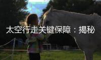 太空行走关键保障：揭秘中国新型“飞天”舱外服