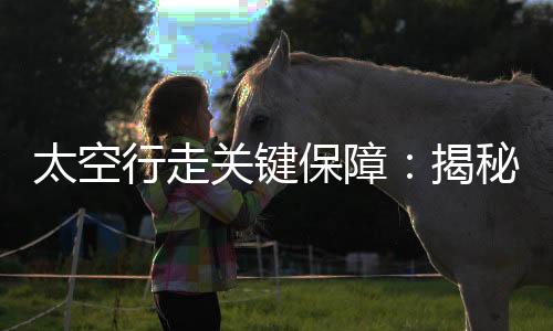 飞天它们内部有弹簧