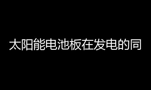60颗种子中有57颗发芽