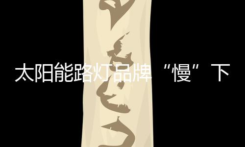 牌下就太阳能路灯行业内