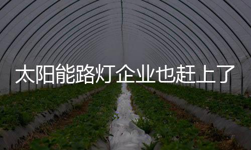 对太阳能路灯企业来说