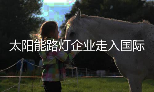 在太阳能路灯市场上