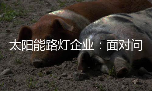 太阳能路灯企业在发展过程中
