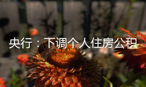下调直辖市及计划单列市分行
