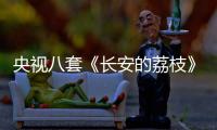 央视八套《长安的荔枝》演员表删除那尔那茜