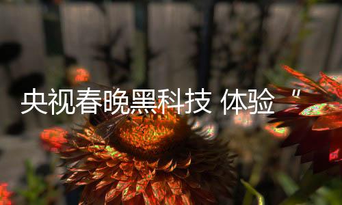 春晚交互式摄影控制等黑科技