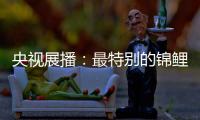 央视展播
：最特别的锦鲤——佳得福金门窗