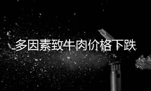 我国牛肉累计进口99.57万吨