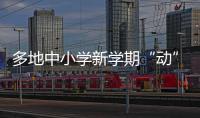 快排公司十年历程，霸屏兔 seo 的崛起与坚守