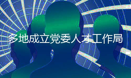 为完善人才战略布局