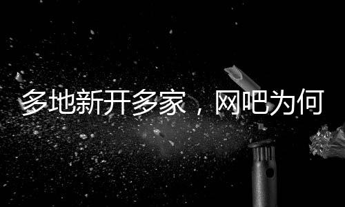 多地多网吧的新开兴盛