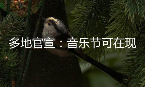 音乐节设婚姻登记点