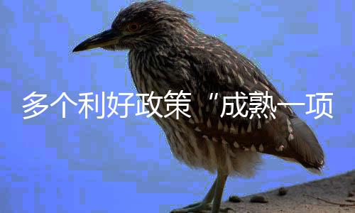 严重违背历史潮流和经济规律
