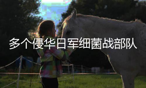 户籍	、留守名簿属于档案文件