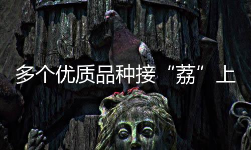 多个吨其中红灯笼1万斤左右