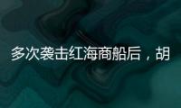 多次袭击红海商船后，胡塞武装将如何收场？丨军事