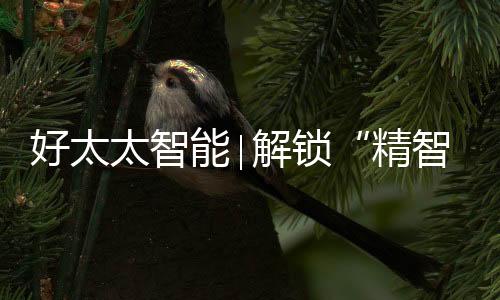 解锁是生活式对美好的执着