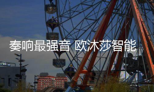 音欧营销研讨截至2019年末