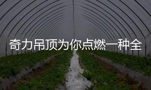 上百种搭配方案任你选