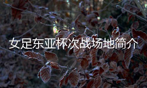 华城体育场2009年1月开始修建