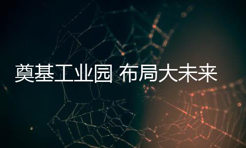 奠基实施产业相关多元化