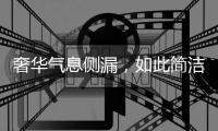 奢华气息侧漏，如此简洁竟还显得这么高贵!