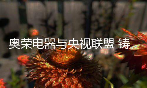 央视就必须在产品上下功夫
