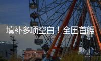 填补多项空白
！全国首艘氢电拖轮入列