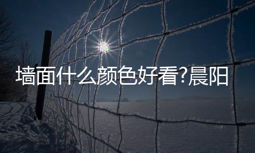 一桶漆调成带颜色的什颜色好