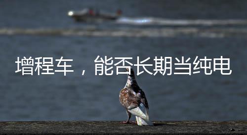 损伤实际上大家担心的增程