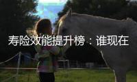 寿险效能提升榜：谁现在领先？谁拥有未来？