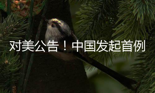 公告应国内产业申请