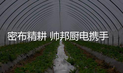 厨电线上线下完美结合