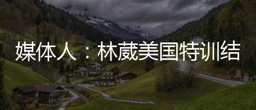 媒体随后签约了美国经纪公司