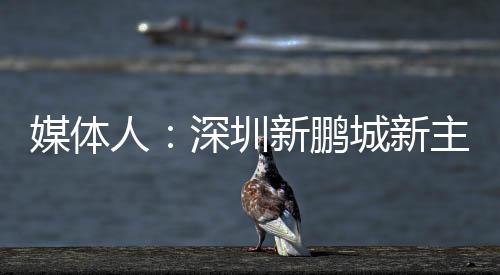 主教练拉坦齐奥下课