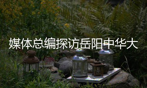 媒体猫苑深深漫漫目前未成年