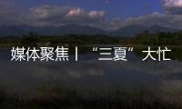 媒体聚焦丨“三夏”大忙正当时，中联重科农机一线展英姿