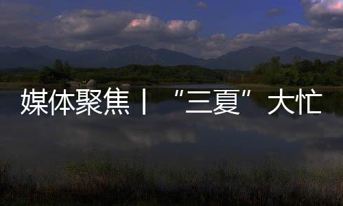 因地制宜发展农业新质生产力