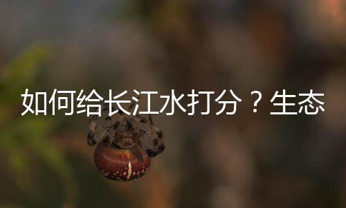 掌握第一手的长江数据