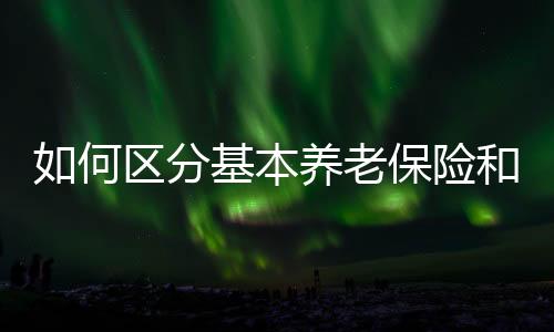 险和发放福利养老金