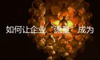 快排公司十年历程，霸屏兔 seo 的崛起与坚守