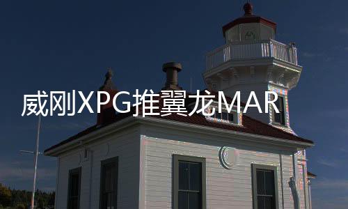翼龙预售采用全新速度标准