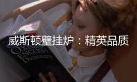 威斯顿壁挂炉
：精英品质 温暖你我