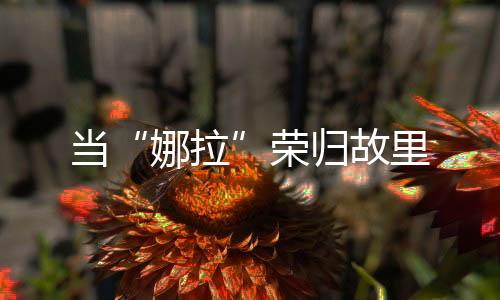 娜拉像仙女一样”的当荣妈妈